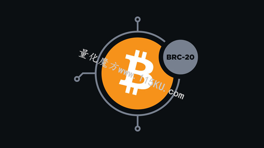 232334x1qx110vcbjjs0f6.jpg