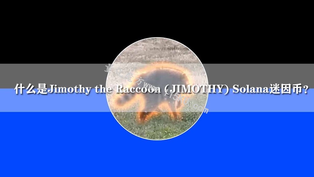 234836s6r01rsc61f1hppr.jpg