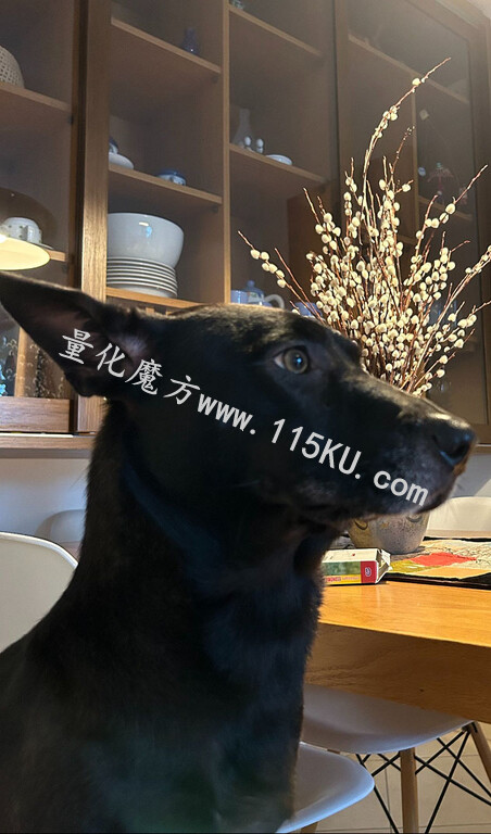 180102kcm8vvqofq2fotwi.jpg