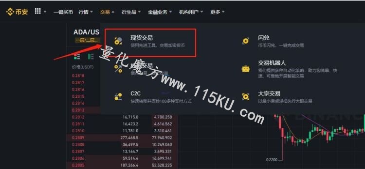 213030bp0cbadi1rib2rib.jpg