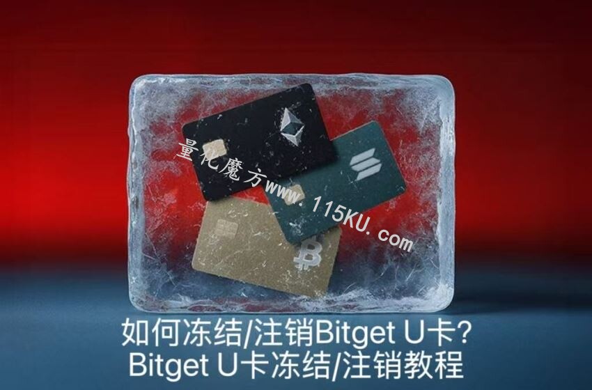045511k03qa1rqu3w8ew64.jpg